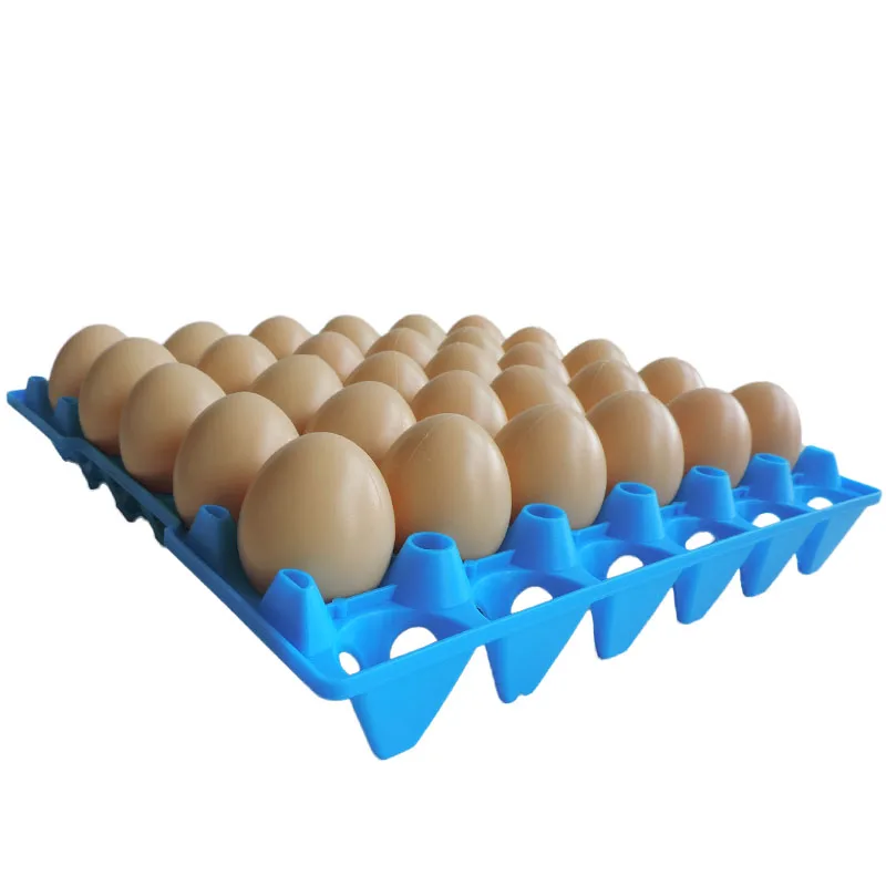 DSCN4788 