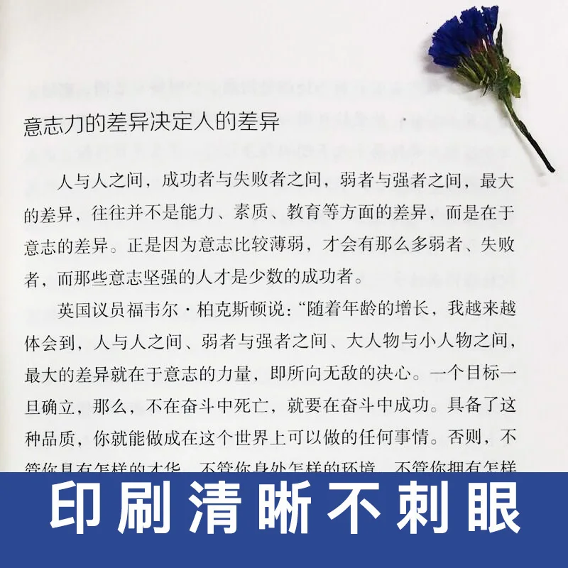 20190426_152036_036
