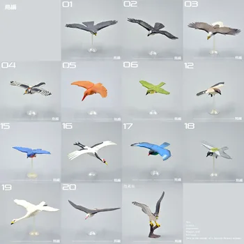 

Original Japan genuine bullks wild animal birds Goshawk osprey Eagle Shrike swan Woodpecker Crane children collectible figures