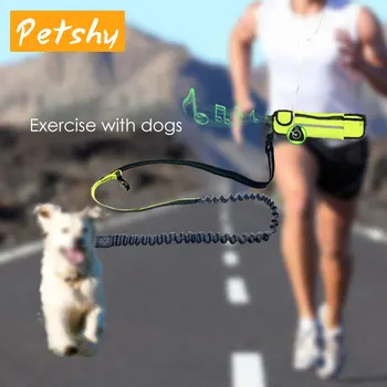 

Petshy Pet Running Jogging Leash With Adjustable Waist Bag Dogs Hands Free Reflective Strip Elastic Leashes Walking Dog Leads