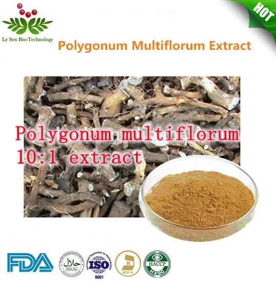 

300gram Hotsale ho shou wu extract (Polygonum multiflorum)10:1Powder free shipping