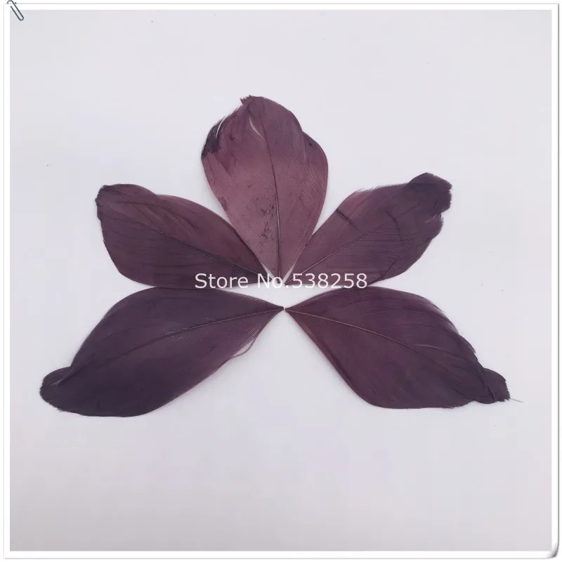 conew_img_8113_conew1