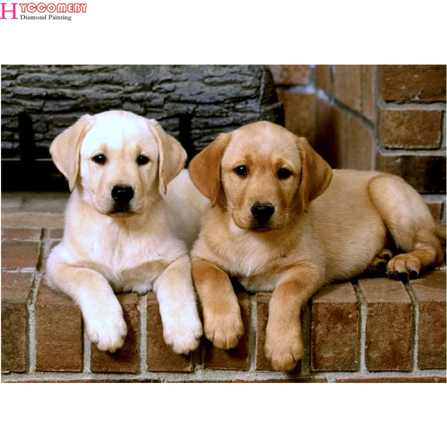 

Diamond Painting Diy Full Square Daimond Painting Animal labrador dog Rhinestone Painting Diamond for Living Room Decor Wall Art