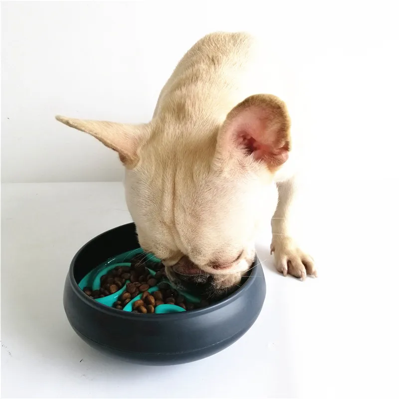 dog bowls slow feeder (23)