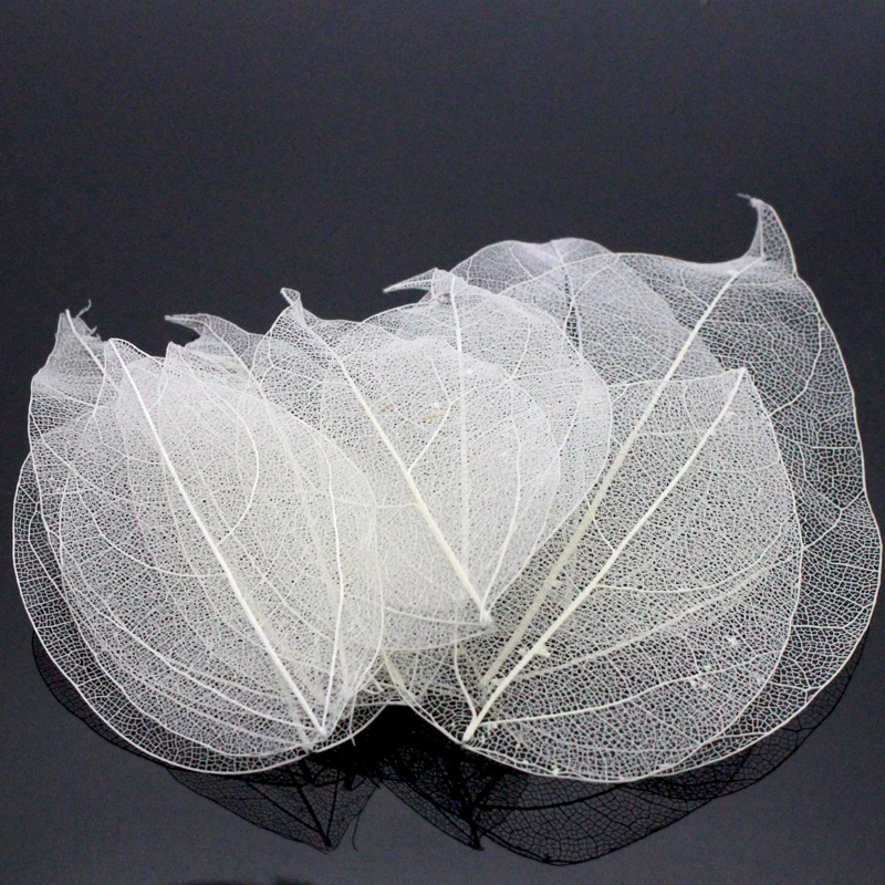Lucia Crafts 36pcs /Bag Multi-Color Artificial Skeleton Leaf Dry Leaves Scrapbooking Girl DIY Material C0704