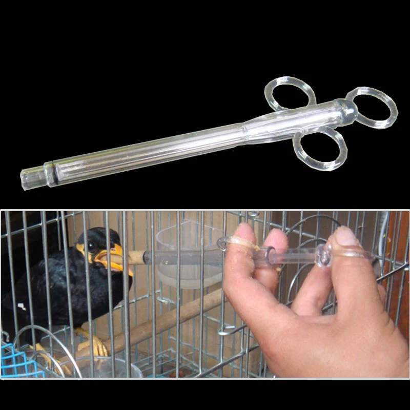

Pigeon Feeding Syringe Feeder For Birds Bird Supplies Bird Feeder Parrots Bird Feeding Syring Prevention Treatment Injector