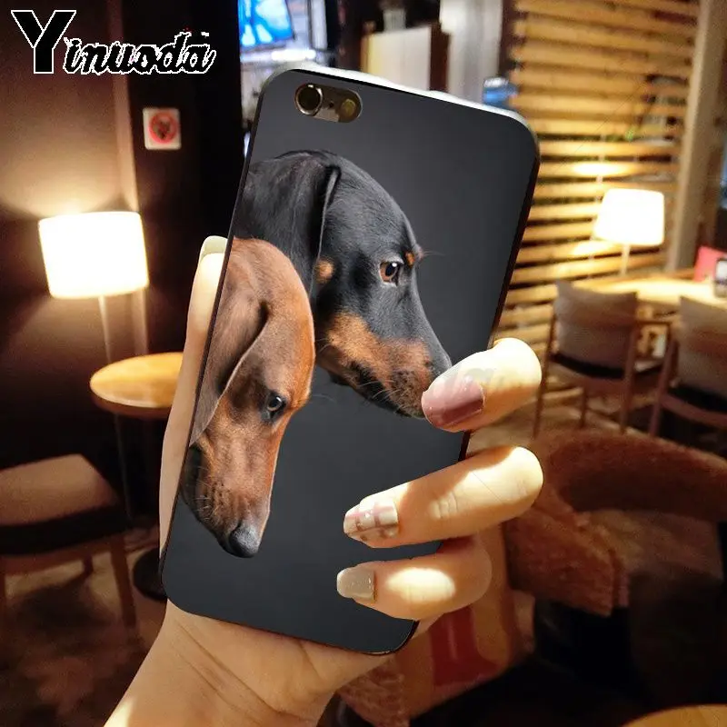 Dachshund Silhouette Dog