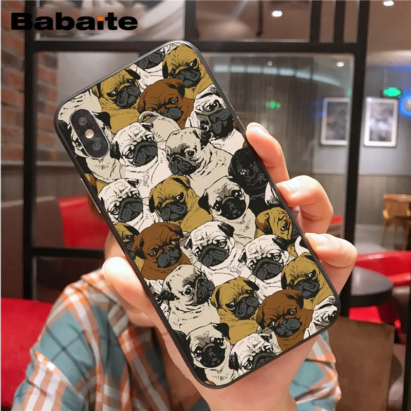 Cute lovely pug dogs animals