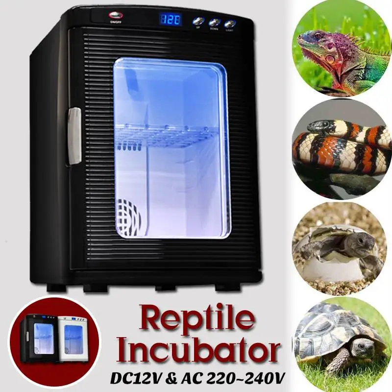 

Efficient 25L Intelligent Automatic Incubator High-quality Reptile Incubator for Reptile Egg Keeping And Breeding Thermostat