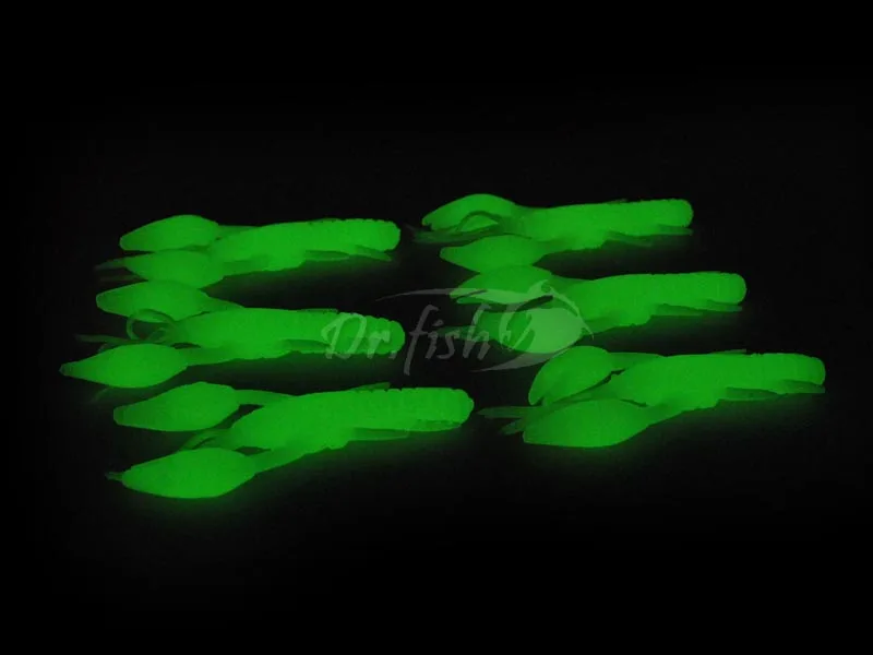 SCBCG_DR_6