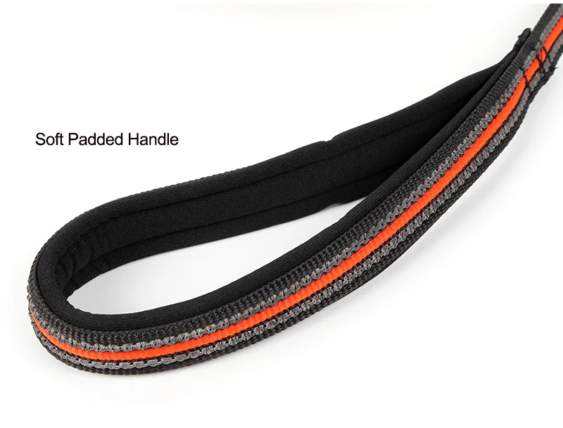 dog-leash-30308-o04jpg