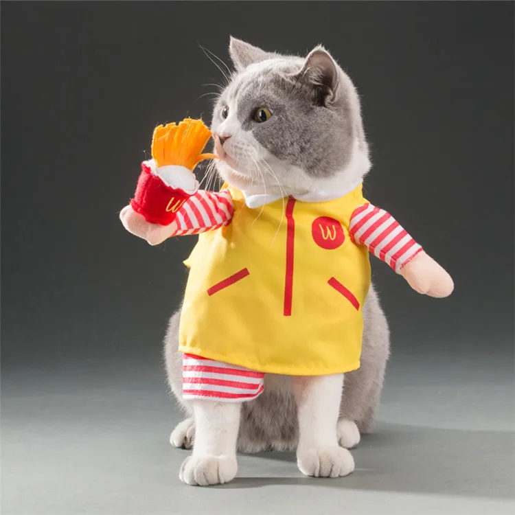 Cats Clothes (1)