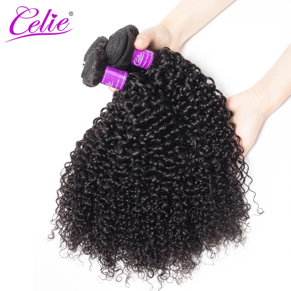 Celie Hair Peruvian Curly Hair 4 Bundles 100% Human Weave Bundles Natural Black Color Remy Human Extensions