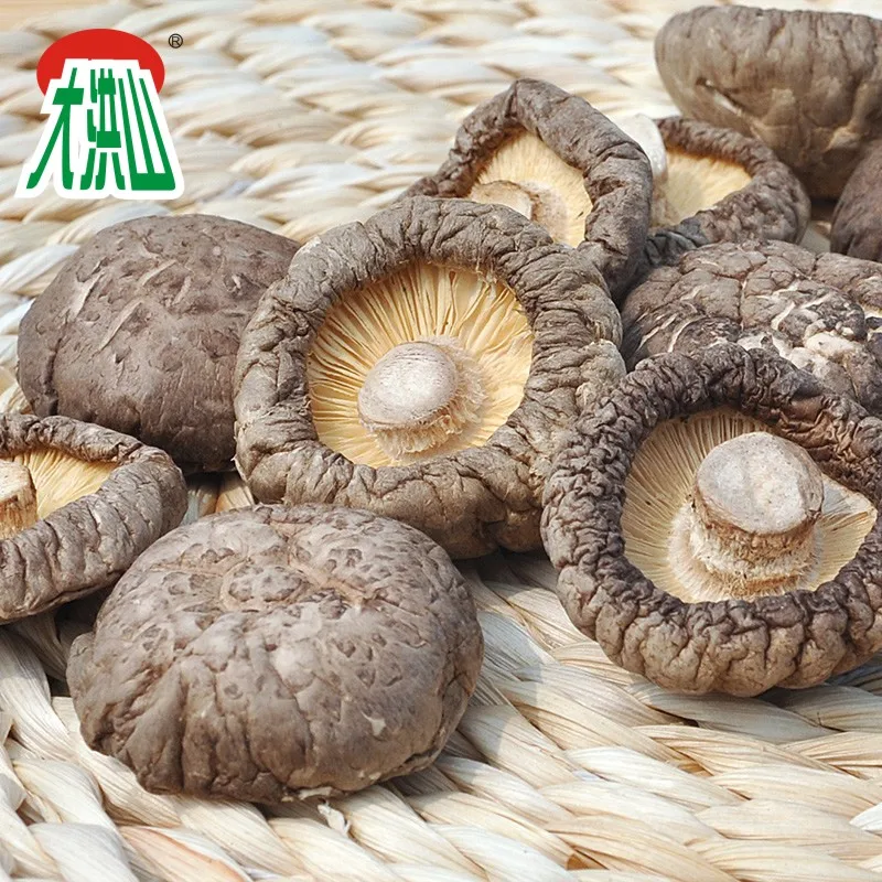 GREENFIELD 500g chinese dried mushrooms Dried Shiitake Mushroom dried PO KU Mushroom organic shiitake mushrooms