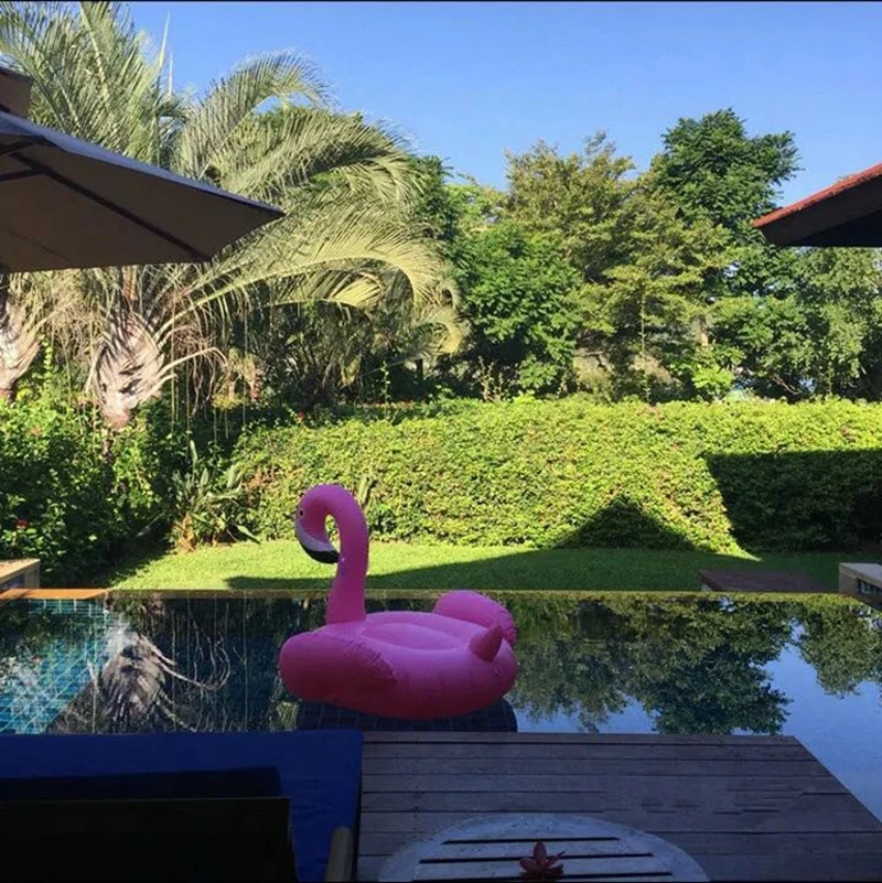 Flamingo swimming ring (7)