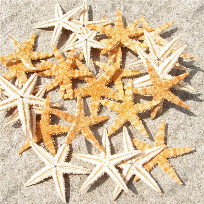 

Natural Shell Fridge Magnet DIY Starfish Refrigerator Stickers Souvenir Cute Custom Fridge Decoration Stickers Kitchen Decor