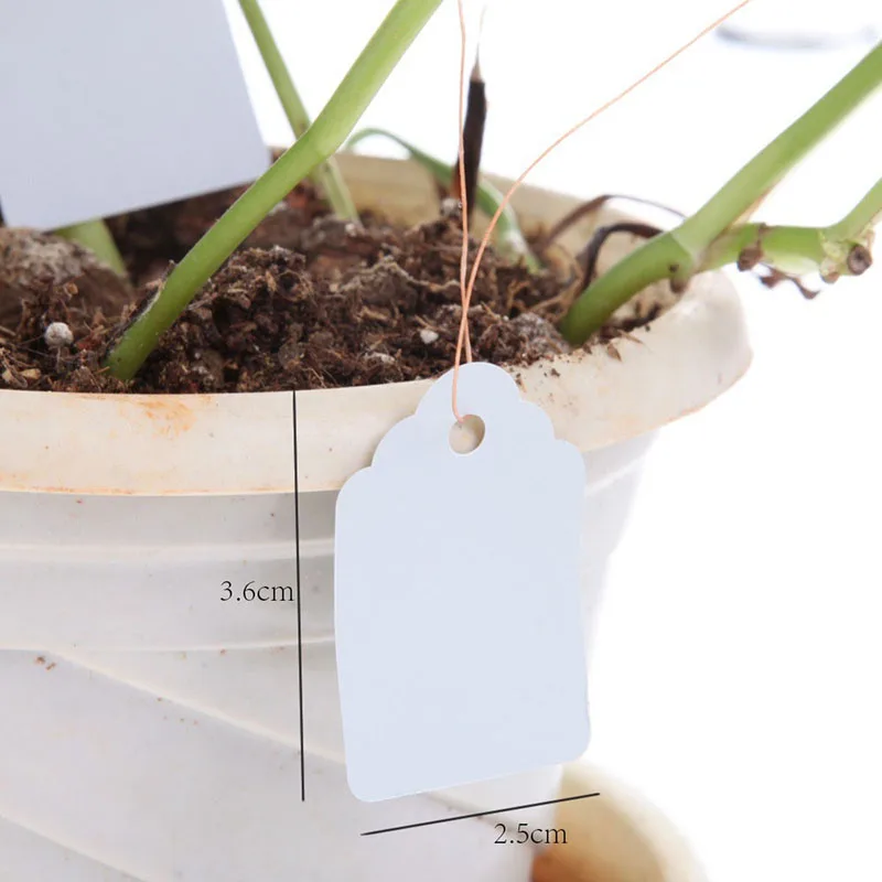 100 pcs White Plastic Tag Seedling Plant Growth Record Label Garden Waterproof Plant Nursery Pot Garden Decoration writing plate 100 pcs White Plastic Tag Seedling Plant Growth Record Label Garden Waterproof Plant Nursery Pot Garden Decoration writing plate