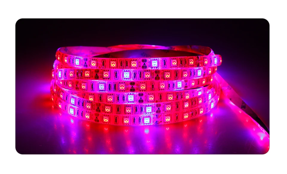 Plant Grow Lights Full Spectrum LED Strip 12V Flowers Phyto Lamp 5M Dimmable Red Blue For Greenhouse Hydroponic + Power Adapter (2)