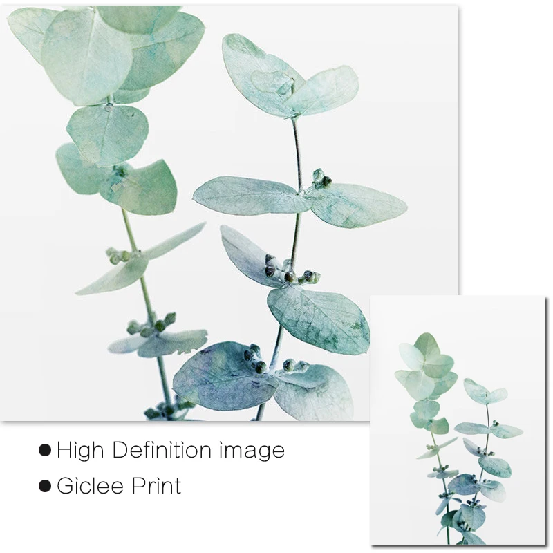 Australian Eucalyptus Leaf Print Wall Art Canvas Modern Posters and Prints Botanical Plant Painting Pictures for Living Room|Рисование и
