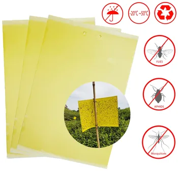 

pest reject glue trap fly killer catcher anti moustique aphids whiteflies mosquitoes fruit fly trap for outdoor plant restaurant