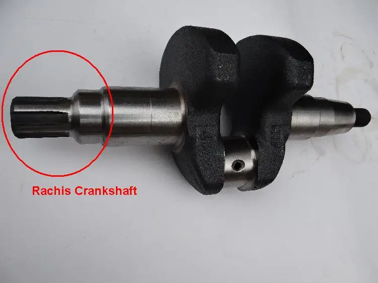 

Fast Ship diesel engine 170F Rachis Crankshaft rachides use on Tiller Cultivators suit for kipor kama and all Chinese brand