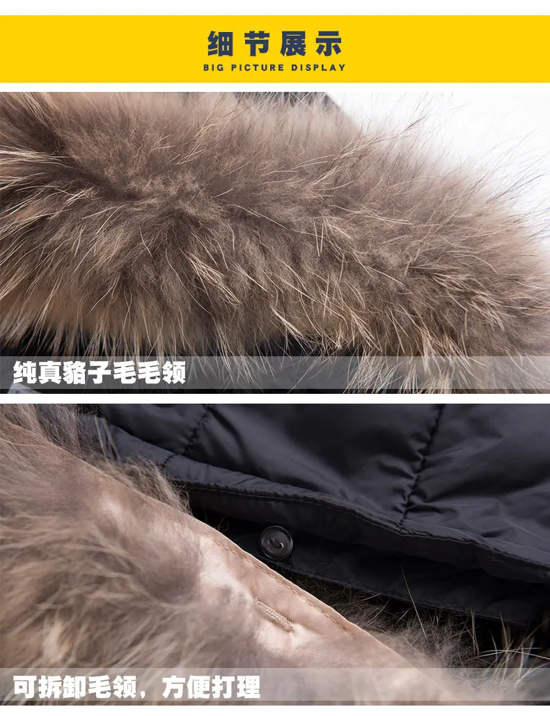 9086991385_1903448628