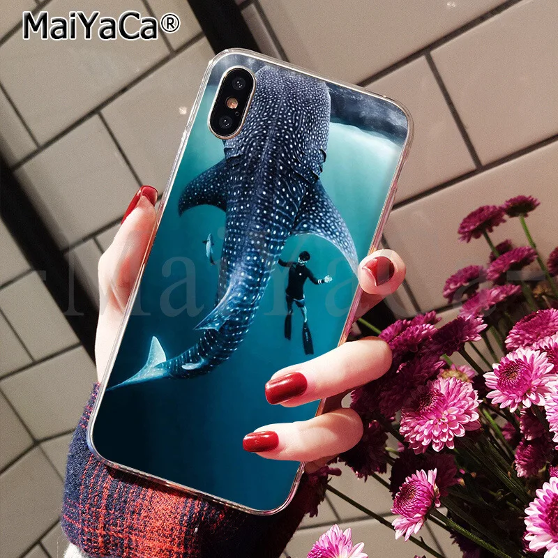 ocean Whale Sharks fish