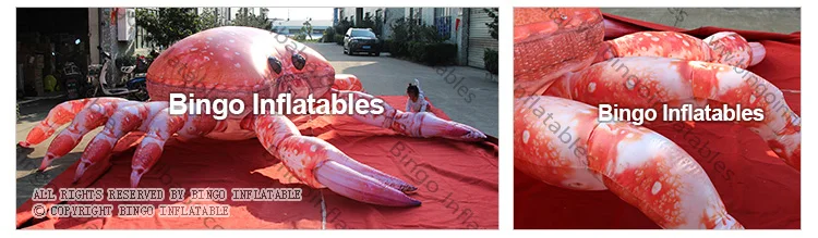 BG-A1208-2-Inflatable-crabs-bingoinflatables_04