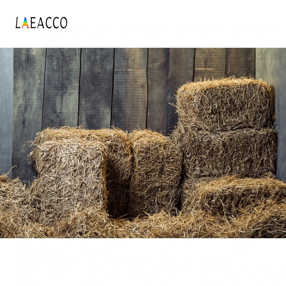 Laeacco Haystack гранулированная сельская комната Дети Домашние животные портретная