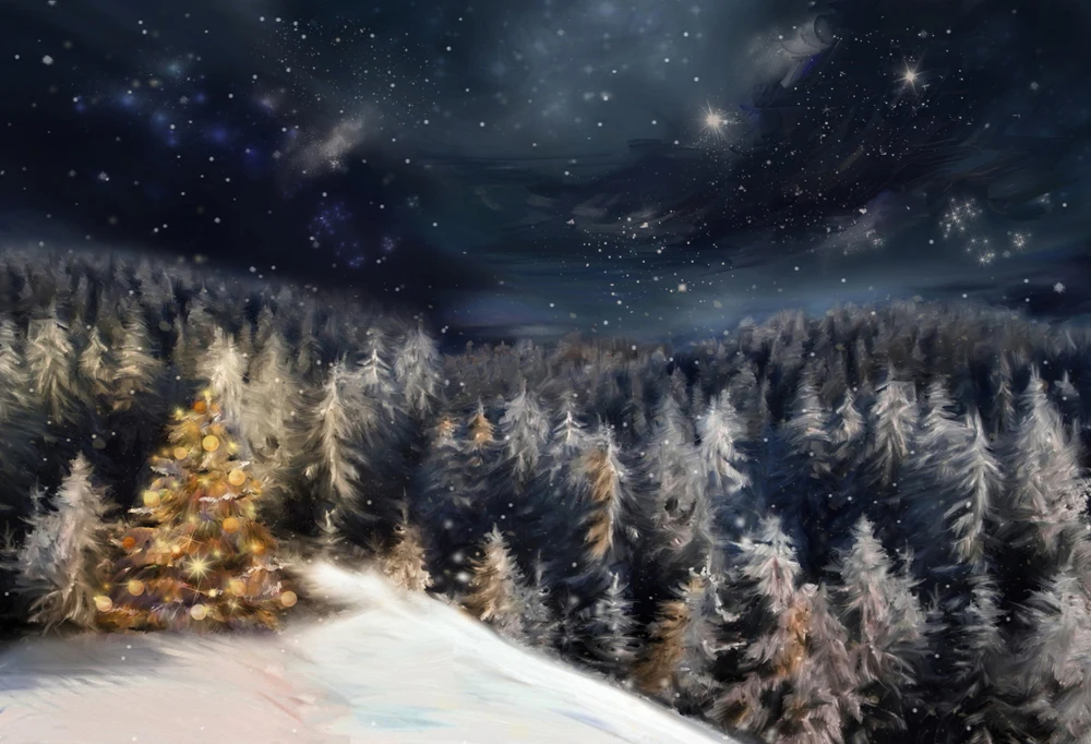 

Christmas photography backdrop christmas decorations for home photobooth backdrops newborn christmas photo background XT-5987