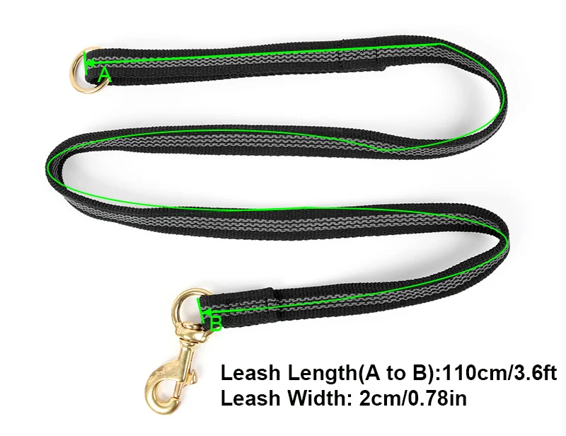 dog-leash-30306-d2