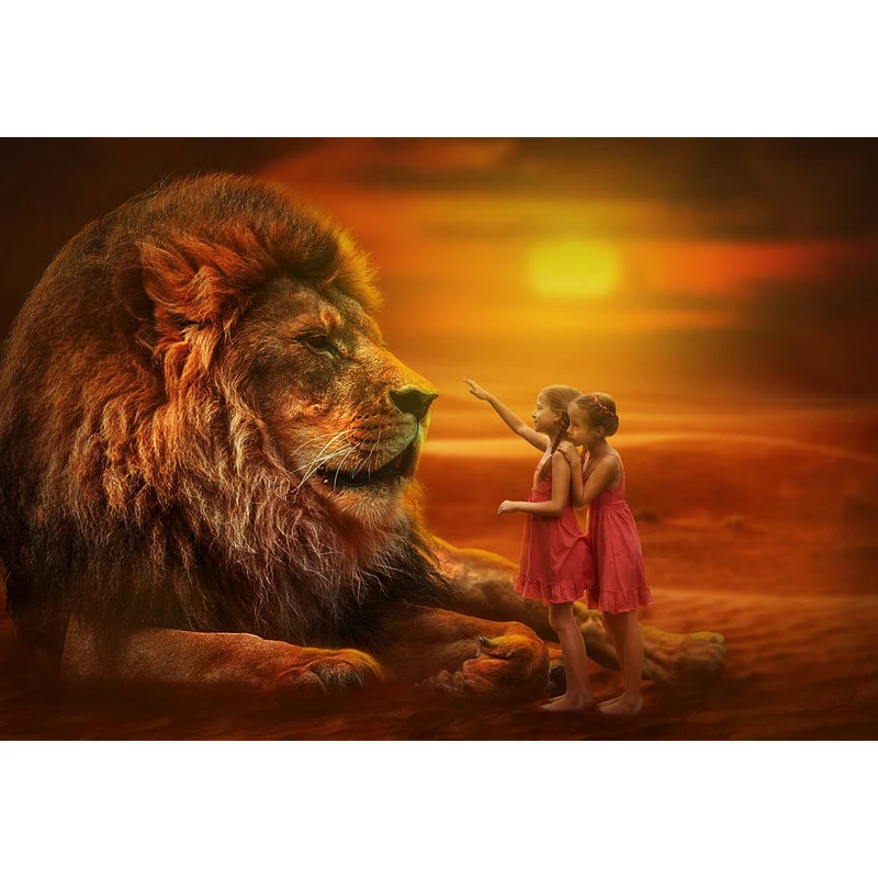 

YIKEE diamond painting A huge lion,diamond 5d,diamond painting colorful K763