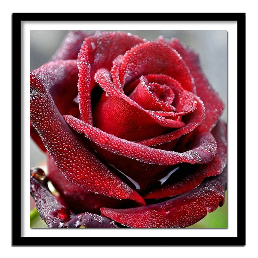 

Diamond Embroidery Flower Picture Rhinestones Diamond Painting Cross Stitch Rose Full Square Diamond Full Kit