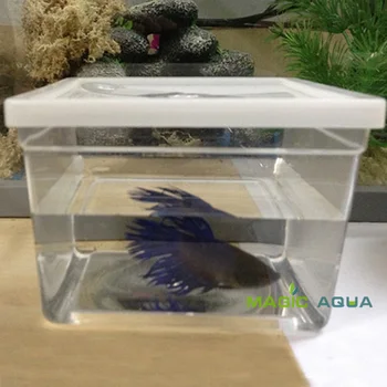 

50pcs/lot Mini Betta Fish Fighting Fish Tank Aquarium Whole Sale Price