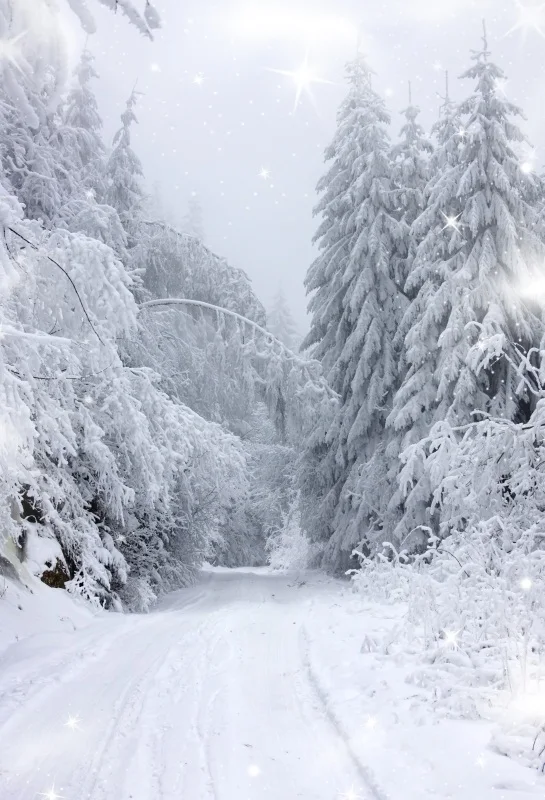 Laeacco Dreamy зима снег лес деревья путь сцена фотографии фоны для фотостудии Виниловые пользовательские Живописные фоны