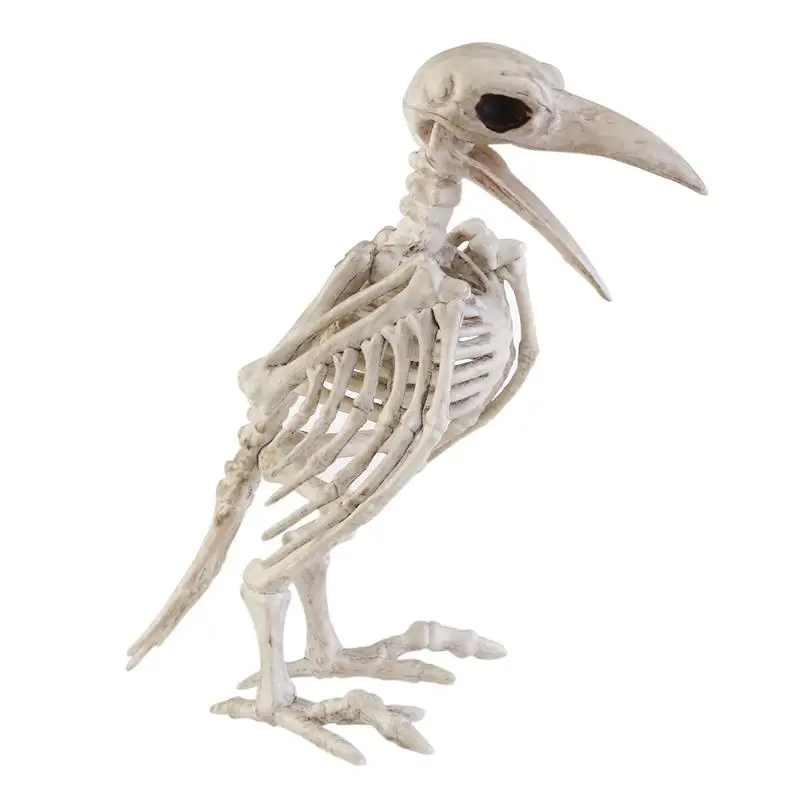 

Halloween Crazy Bone Skeleton Raven 100% Plastic Animal Skeleton Bones Horror Halloween Prop Bird Raven Skeleton Decoration