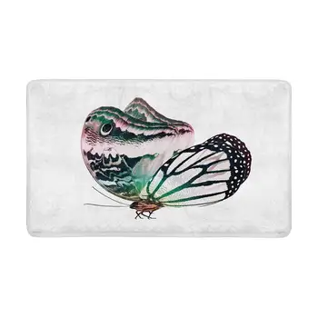 

Color Butterfly Indoor Entrance Doormat
