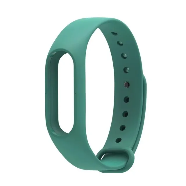 Bracelet-For-Xiaomi-Mi-Band-2-Sport-Strap-Watch-Silicone-Wrist-Strap-For-Xiaomi-Mi-Band.jpg_640x640 (2)