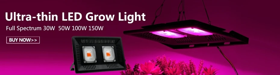 LED cresce a luz DC12V crescente Faixa