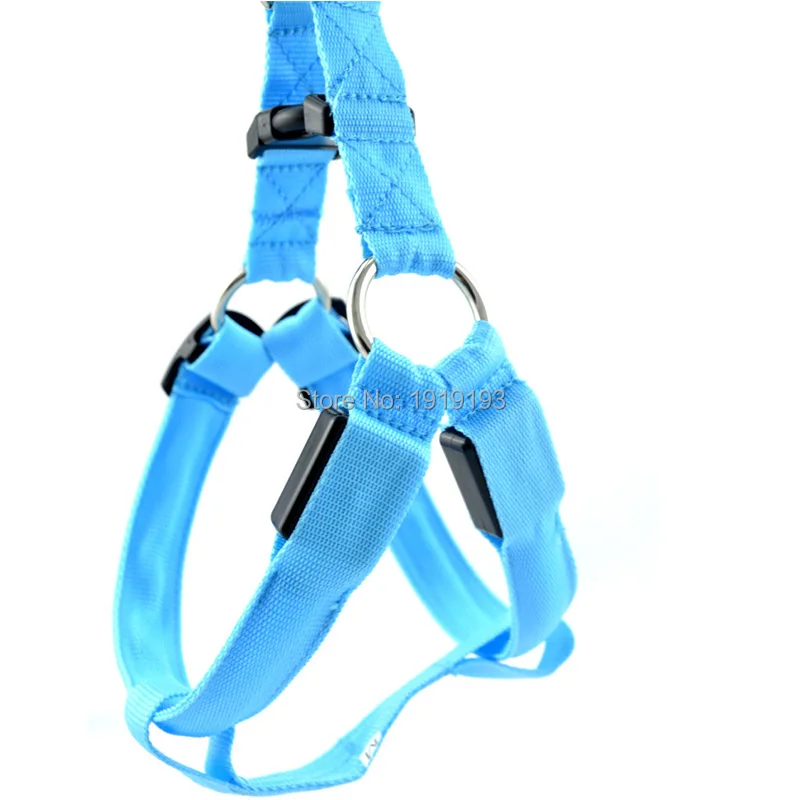 blue-2