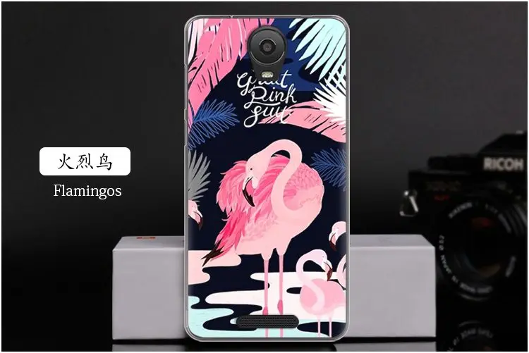  Flamingos