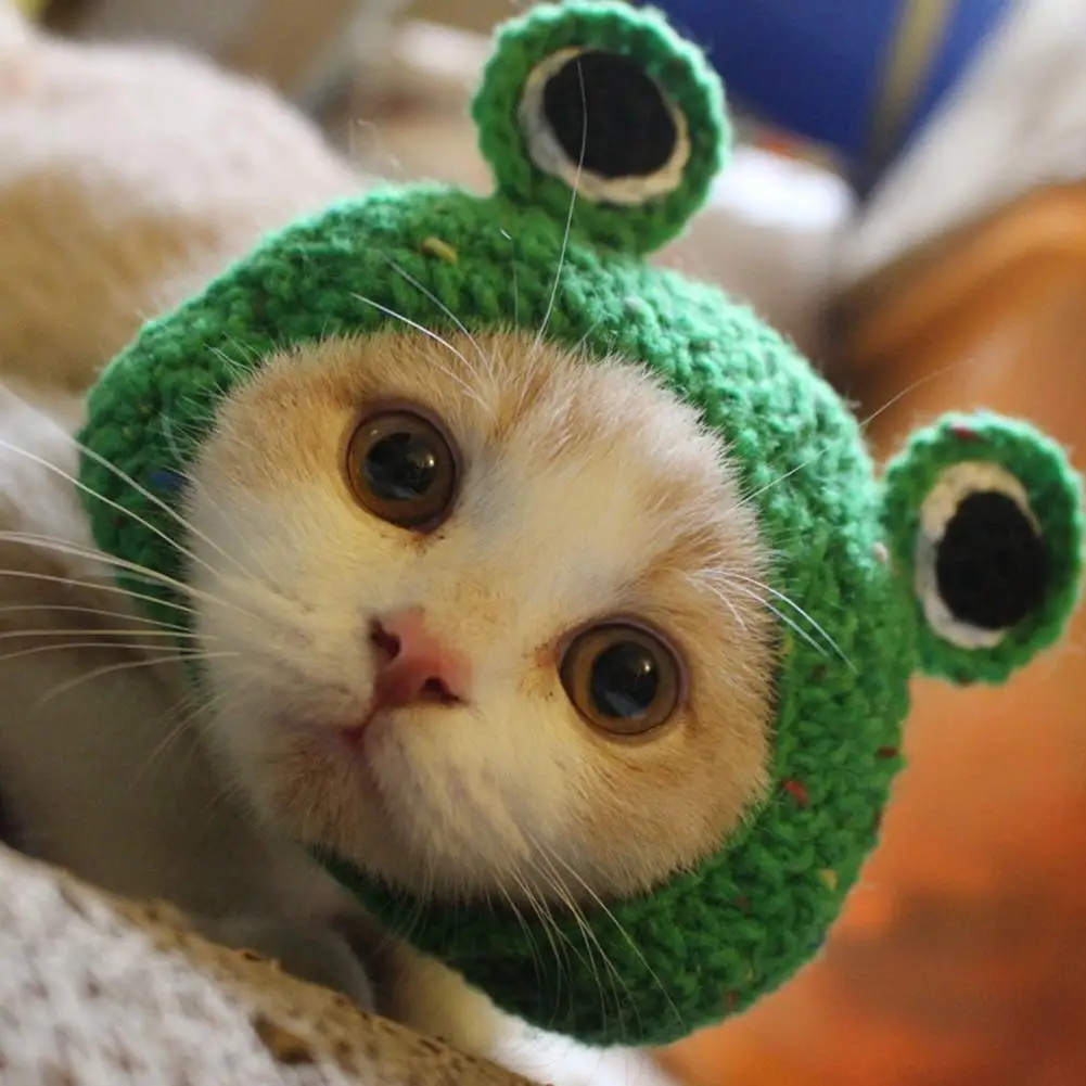 AsyPets Handmade DIY Pet Cat Dog Creative Frog Design Hat Warm Knitted