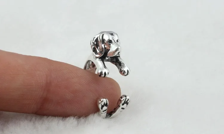 2615161110_1069471015