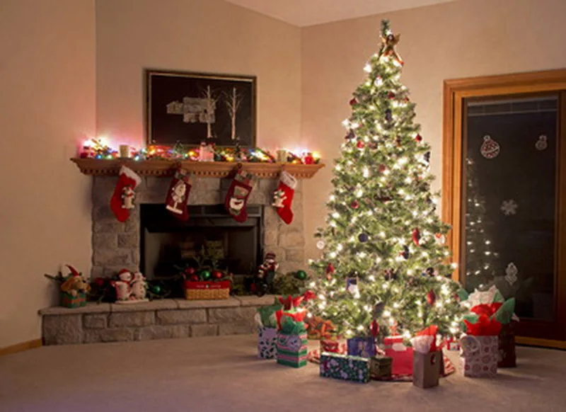 8x10ft(2.5x3m) Indoor christmas tree with Shining light