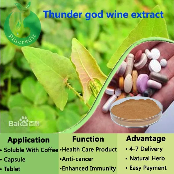 Hot sales Thunder God Vine Extract powder Celastrol 98%/Thunder | Продукты
