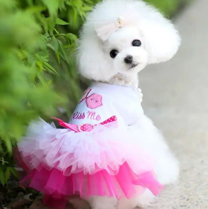 Pink//Black Pet Puppy Small Dog Lace Skirt Princess Tutu Dress Clothes Apparel