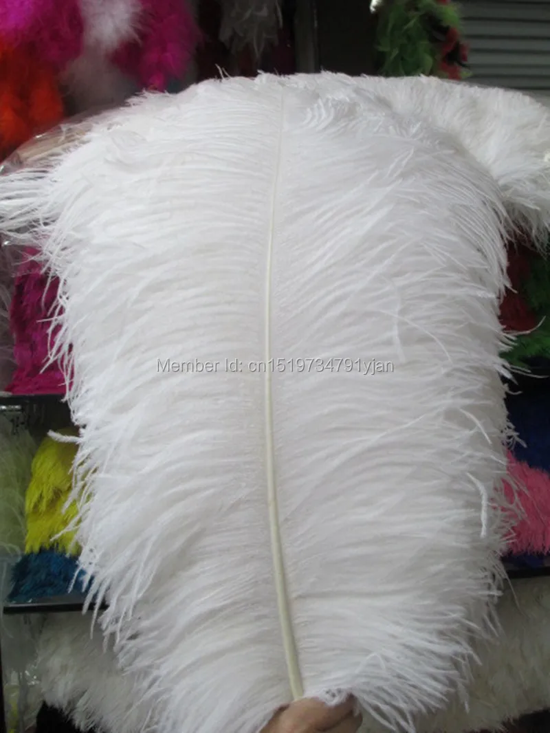 where to purchase ostrich feathers