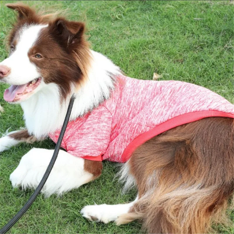 Большой одежды собаки большая собака Костюмы зимние самоедская золотистый ретривер Хаски Big Pet пальто свитер с капюшоном наряд собака одежды