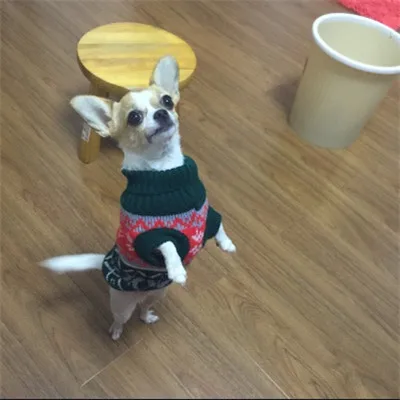 5050