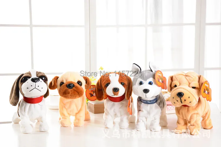 dog (7)